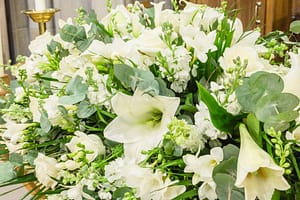 Lily floral display